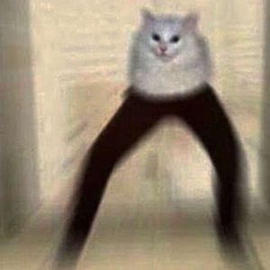 Meet your Posher, Brie